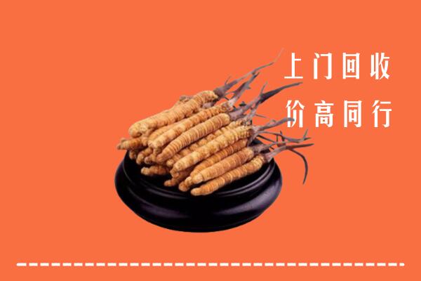 高价求购：白城市洮北区回收散虫草