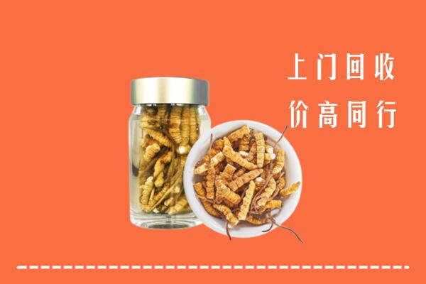 白城市洮北区回收冬虫夏草