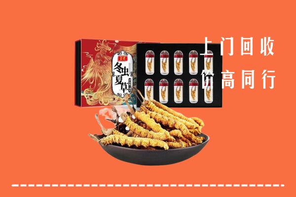 白城市洮北区回收虫草